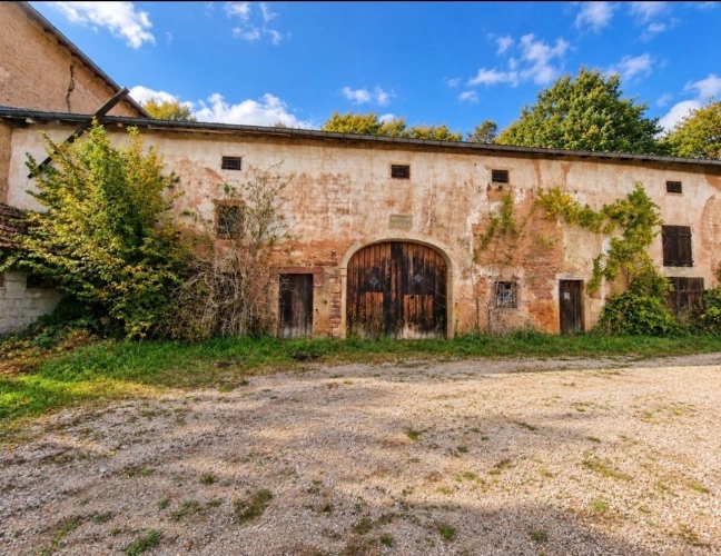 Photos 4 - Prestige - Propriété MAISON à vendre 8 pièces à EPINAL (88) avec DEPENDANCES sur 6262 m2 de TERRAIN