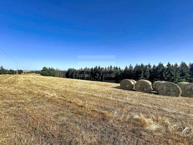 Photos 18 - Prestige - Propriété agricole
