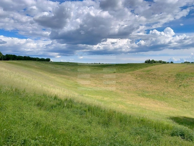 Photos 17 - Agricole - Propriété