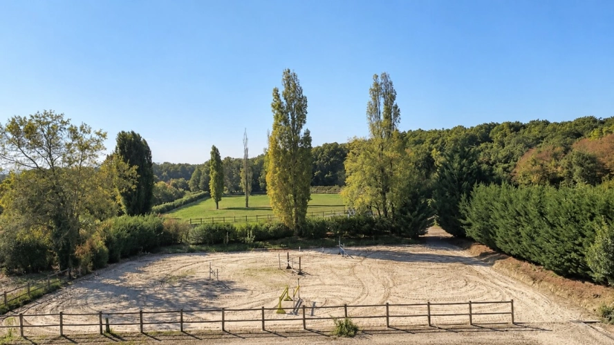 Photos 3 - Équestre - À vendre – Propriété avec maison, installations équestres et piscine à Massongy (74)