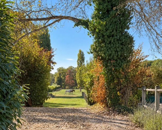 Photos 14 - Équestre - À vendre – Propriété avec maison, installations équestres et piscine à Massongy (74)