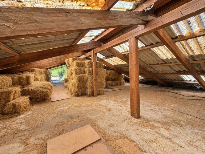 Photos 17 - Équestre - À vendre – Propriété avec maison, installations équestres et piscine à Massongy (74)
