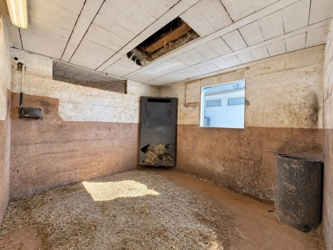 Photos 19 - Équestre - À vendre – Propriété avec maison, installations équestres et piscine à Massongy (74)