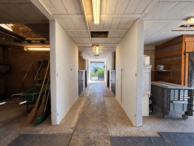 Photos 20 - Équestre - À vendre – Propriété avec maison, installations équestres et piscine à Massongy (74)