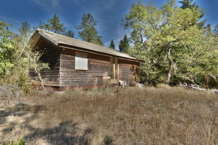 Photos 9 - Prestige - Le domaine dont vous reviez de près de 9 hectares