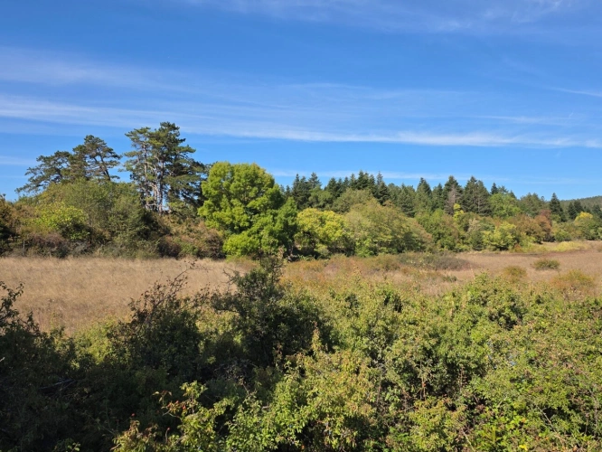 Photos 10 - Prestige - Le domaine dont vous reviez de près de 9 hectares