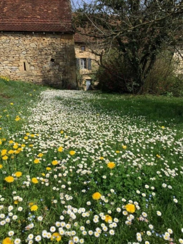Photos 22 - Rurale - Propriété de Caractère XIV ième siècle avec Gites et Chambres d'Hôtes