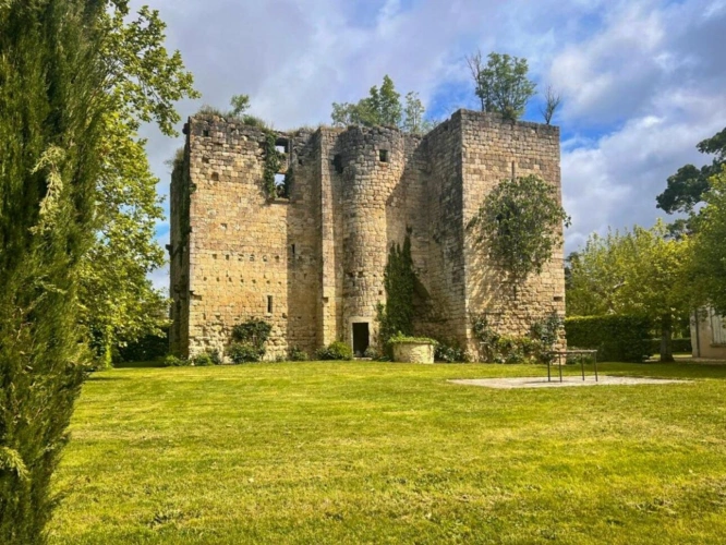 Photos 7 - Prestige - Magnifique domaine comprenant : le manoir (« le château ») vestiges d'un château médiéval, une folie, 2 maisons d?amis, la maison de gardien, 2 piscines