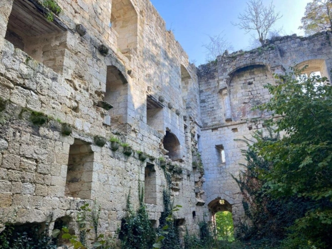 Photos 12 - Prestige - Magnifique domaine comprenant : le manoir (« le château ») vestiges d'un château médiéval, une folie, 2 maisons d?amis, la maison de gardien, 2 piscines