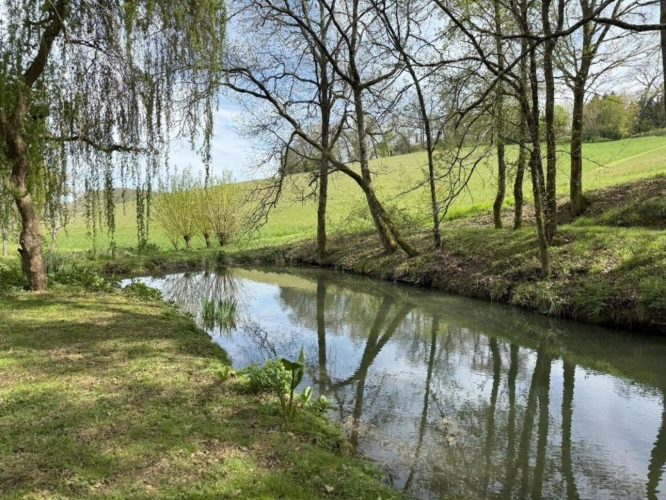 Photos 8 - Rurale - Vue imprenable et intimité absolue sur 6,5 hectares