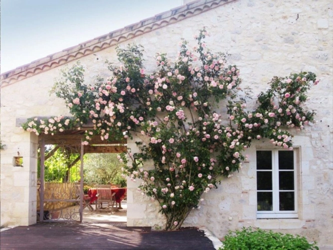 Photos 2 - Prestige - Superbe propriété de campagne dans un emplacement idéal