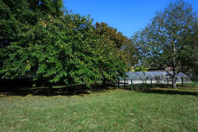 Photos 7 - Rurale - Une ferme de 1859, ses 4 600 m² de parc et sa piscine