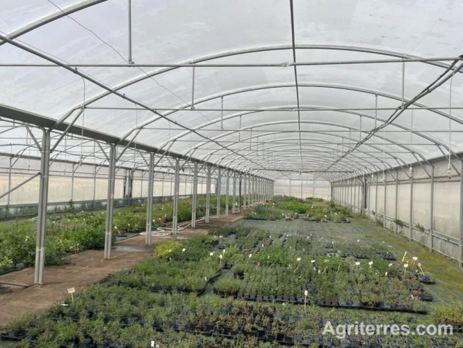 Photos 2 - Agricole - EXCEPTIONNELLE EXPLOITATION HORTICOLE  LOIRET