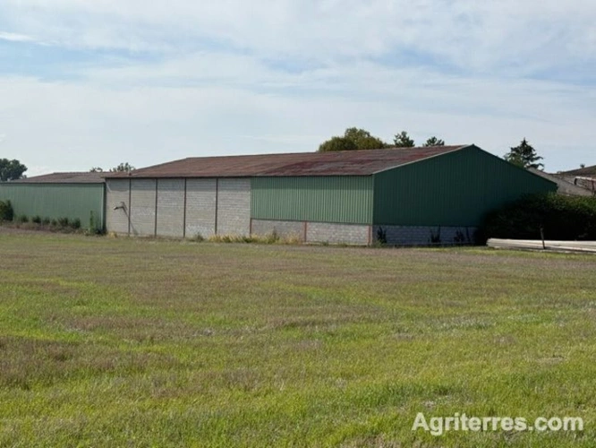 Photos 2 - Agricole - Exploitation céréalière et légumière à proximité de Cognac