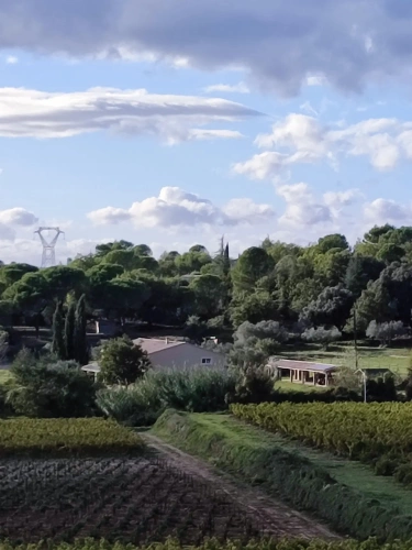 Photos 1 - Rural - propriete sud de france (gard)