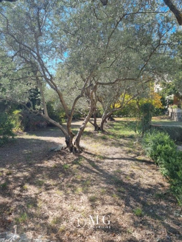 Photos 3 - Rurale - Bastide avec terrain