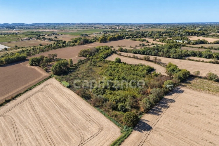 Photos 1 - Agricole - Terrains agricoles 3 hectares