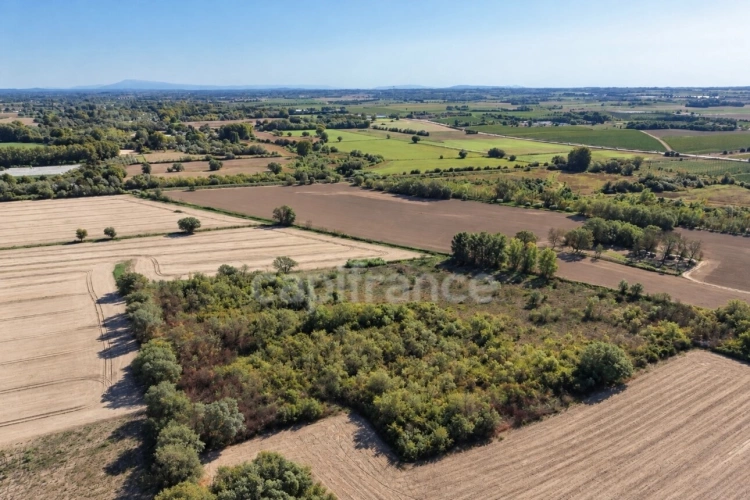 Photos 2 - Agricole - Terrains agricoles 3 hectares