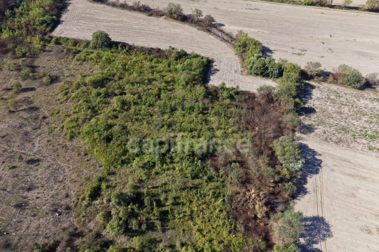Photos 3 - Agricole - Terrains agricoles 3 hectares