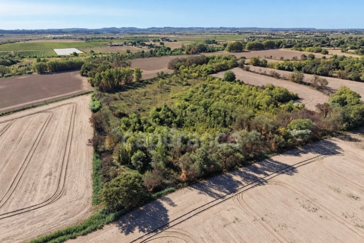 Photos 4 - Agricole - Terrains agricoles 3 hectares