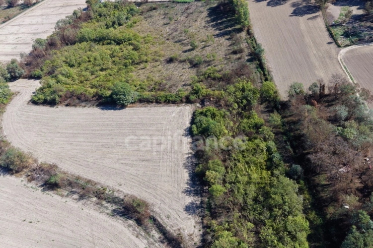 Photos 5 - Agricole - Terrains agricoles 3 hectares