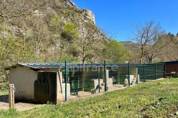 Photos 4 - Agricole - Terres et bâtis d'activités de 256 m² sur 20 hectares (203 000 m²)