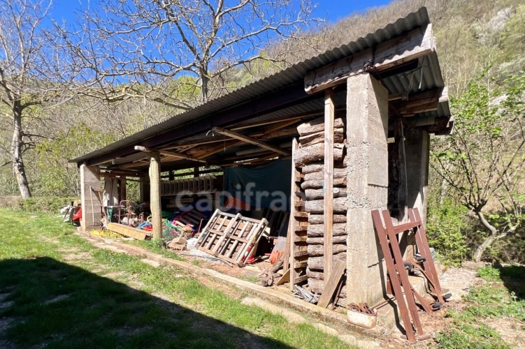 Photos 9 - Agricole - Terres et bâtis d'activités de 256 m² sur 20 hectares (203 000 m²)