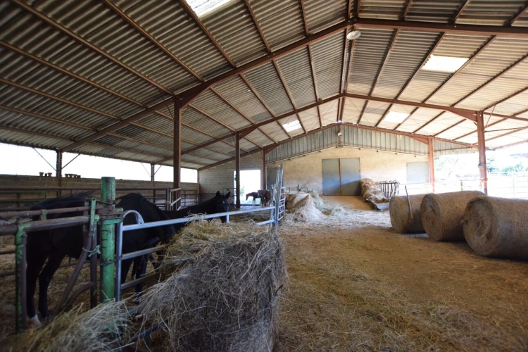 Photos 20 - Prestige - Propriete agricole avec deux maisons, bâtiments et 2,9 hectares de terrain CREOT (71)
