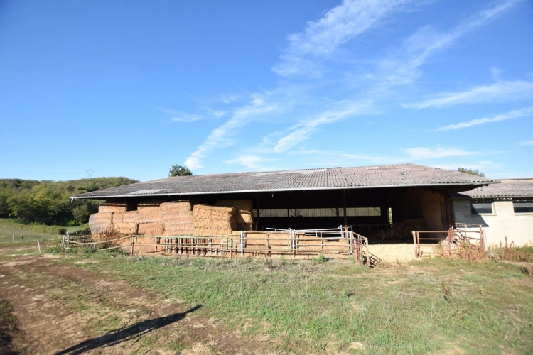 Photos 25 - Prestige - Propriete agricole avec deux maisons, bâtiments et 2,9 hectares de terrain CREOT (71)
