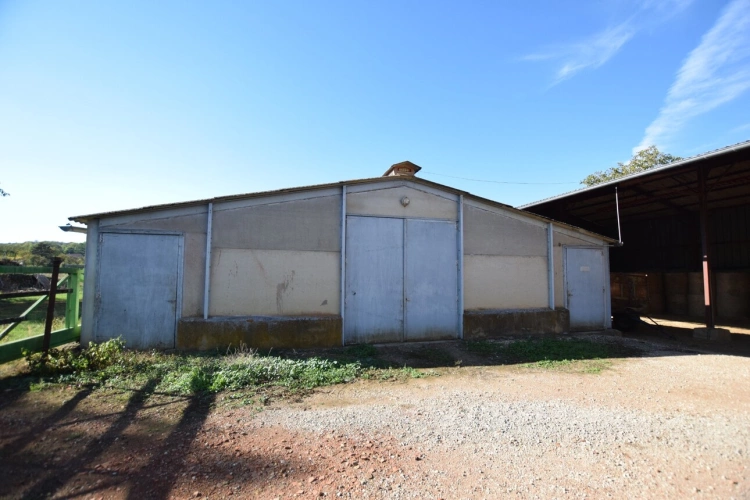 Photos 28 - Prestige - Propriete agricole avec deux maisons, bâtiments et 2,9 hectares de terrain CREOT (71)