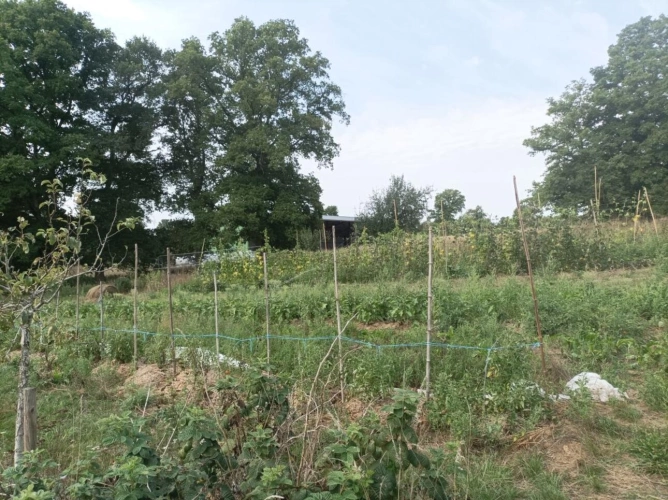Photos 6 - Agricole - Micro ferme en agriculture et maraichage biologique à 1H30 de Paris et 15 mn de Toucy