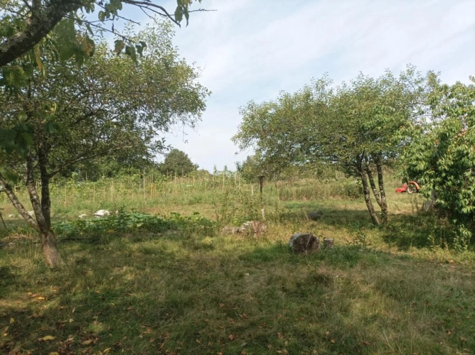 Photos 8 - Agricole - Micro ferme en agriculture et maraichage biologique à 1H30 de Paris et 15 mn de Toucy