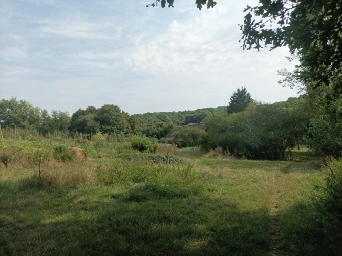 Photos 9 - Agricole - Micro ferme en agriculture et maraichage biologique à 1H30 de Paris et 15 mn de Toucy