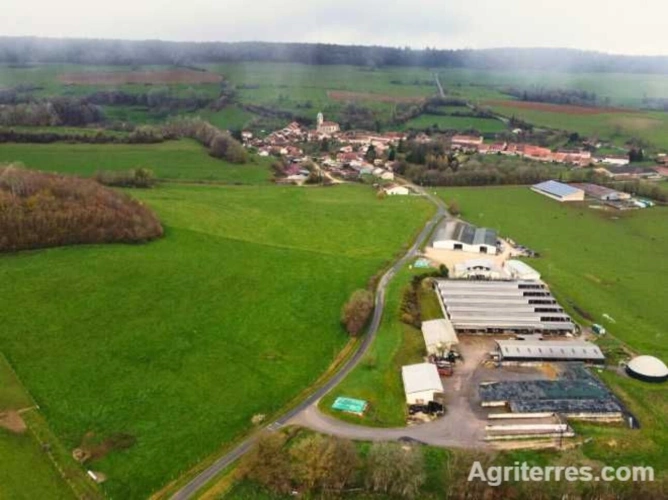Photos 2 - Agricole - Grand Est  EXPLOITATION Laitière d'Exception à saisir
