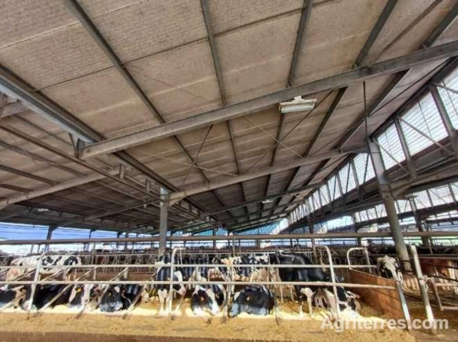 Photos 3 - Agricole - Grand Est  EXPLOITATION Laitière d'Exception à saisir
