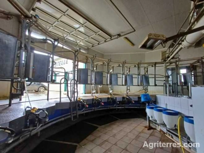 Photos 4 - Agricole - Grand Est  EXPLOITATION Laitière d'Exception à saisir