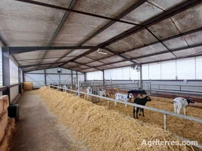 Photos 5 - Agricole - Grand Est  EXPLOITATION Laitière d'Exception à saisir
