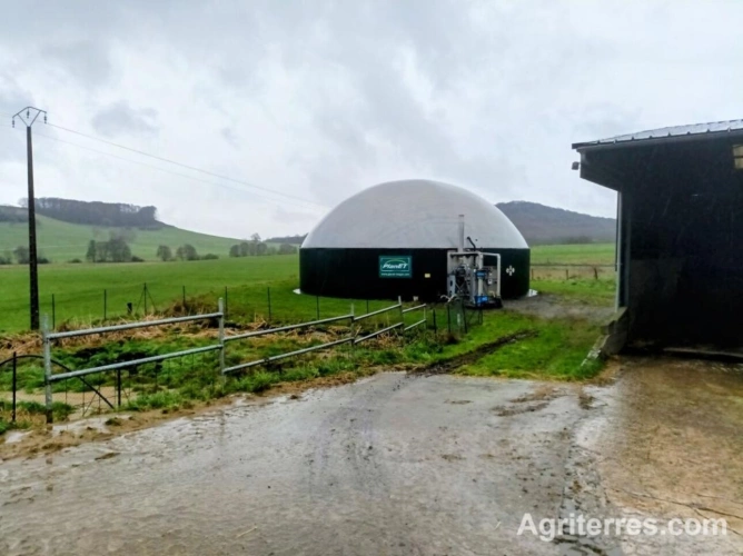 Photos 6 - Agricole - Grand Est  EXPLOITATION Laitière d'Exception à saisir
