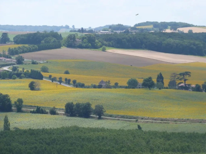 Photos 1 - Agricole - Entreprise Apicole à vendre