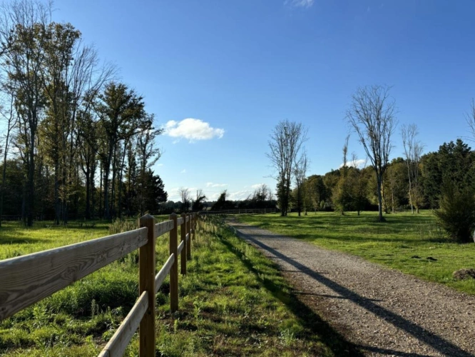 Photos 1 - Equestrian - À VENDRE - Propriété équestre de 2,8 hectares à Vimory (4