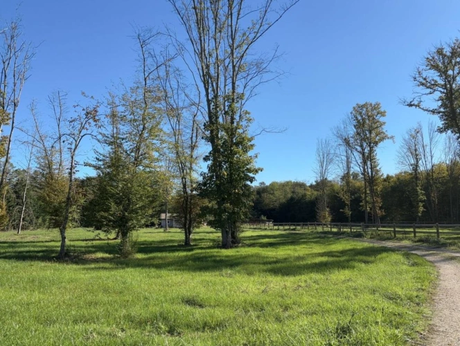 Photos 9 - Equestrian - À VENDRE - Propriété équestre de 2,8 hectares à Vimory (4