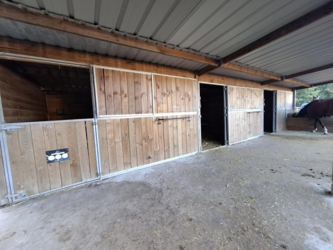 Photos 11 - Equestrian - À VENDRE - Propriété équestre de 2,8 hectares à Vimory (4