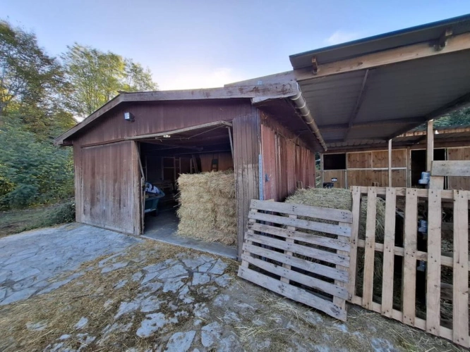 Photos 12 - Equestrian - À VENDRE - Propriété équestre de 2,8 hectares à Vimory (4
