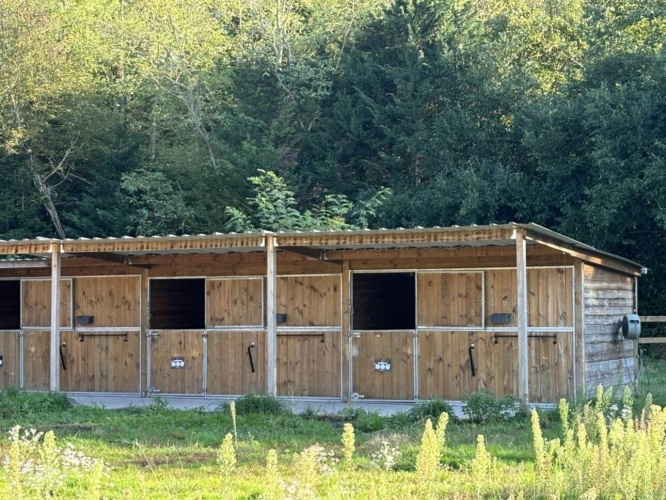 Photos 13 - Equestrian - À VENDRE - Propriété équestre de 2,8 hectares à Vimory (4