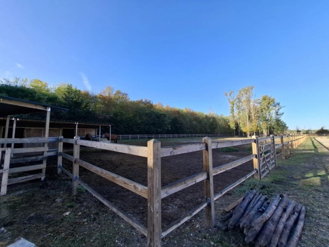 Photos 14 - Equestrian - À VENDRE - Propriété équestre de 2,8 hectares à Vimory (4