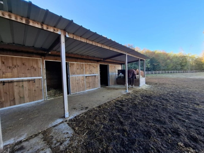 Photos 18 - Equestrian - À VENDRE - Propriété équestre de 2,8 hectares à Vimory (4