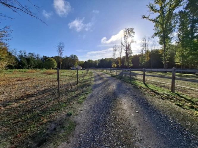 Photos 19 - Equestrian - À VENDRE - Propriété équestre de 2,8 hectares à Vimory (4