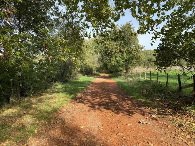 Photos 7 - Prestige - LOIRE