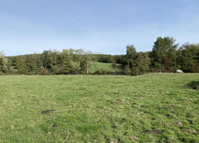 Photos 8 - Prestige - LOIRE