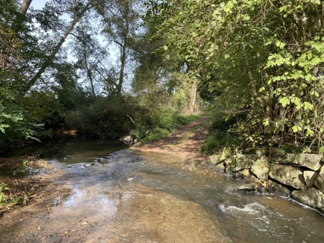 Photos 12 - Prestige - LOIRE